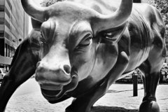Wall street bull_listing